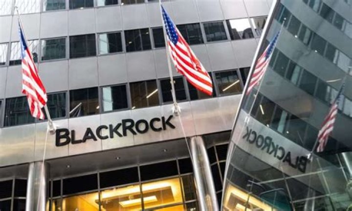 Unveiling The Truth: BlackRock's Tawakali Controversy Unraveled